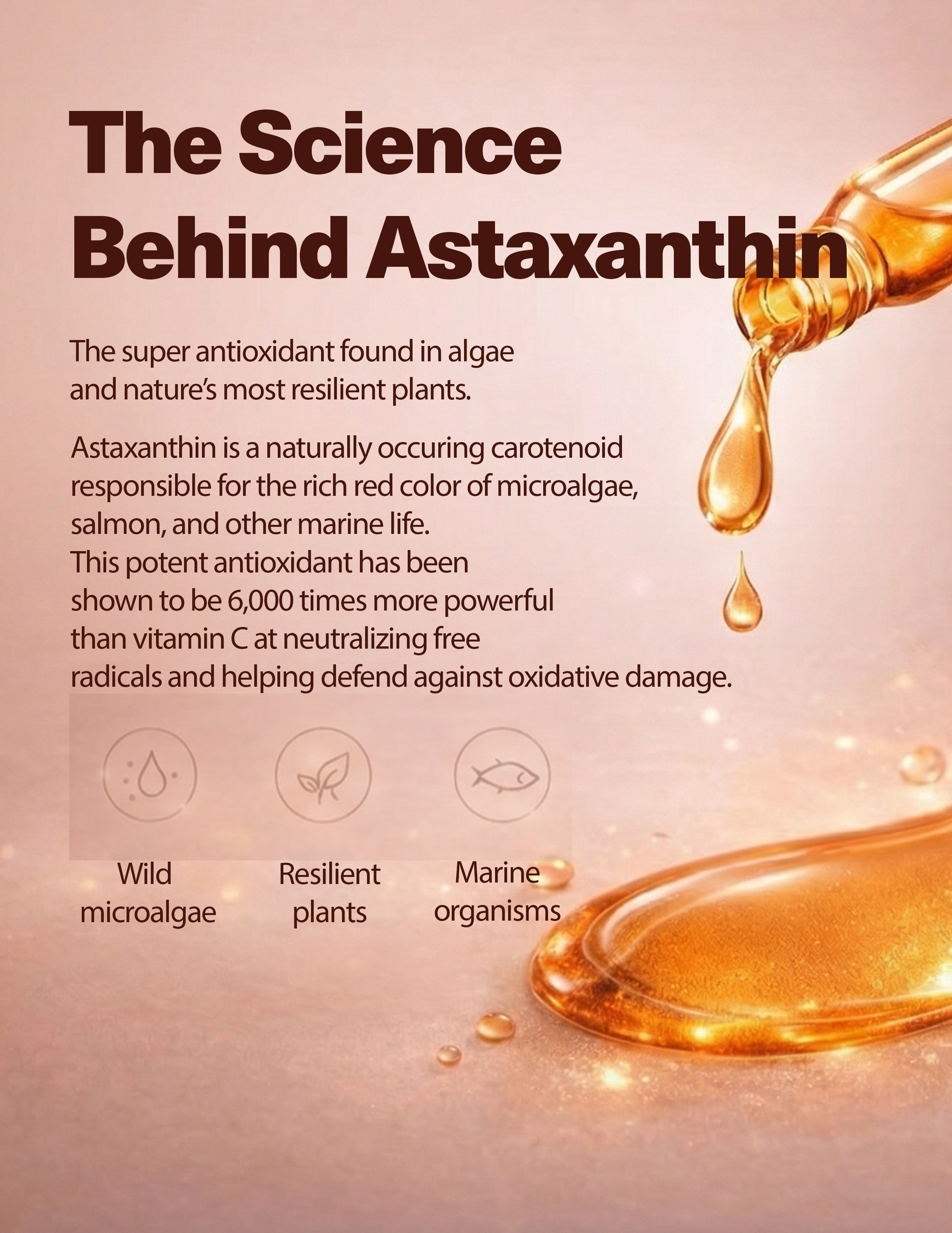 Astaxanthin Ampoule Serum