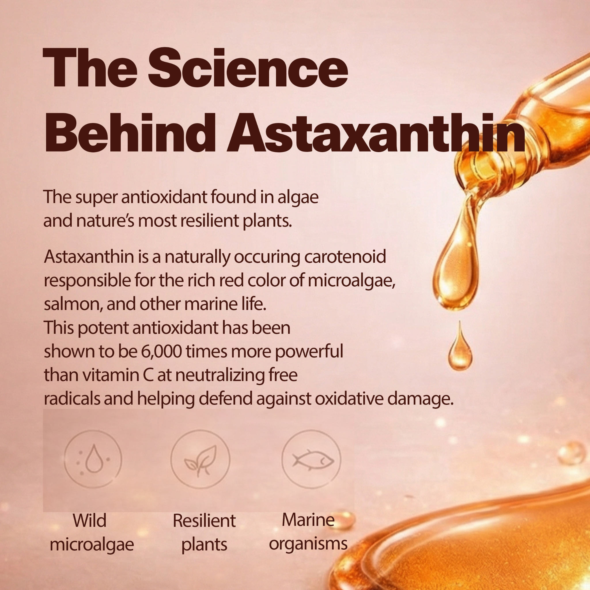 Astaxanthin Ampoule Serum